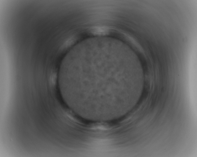 X0000113880652200910011133