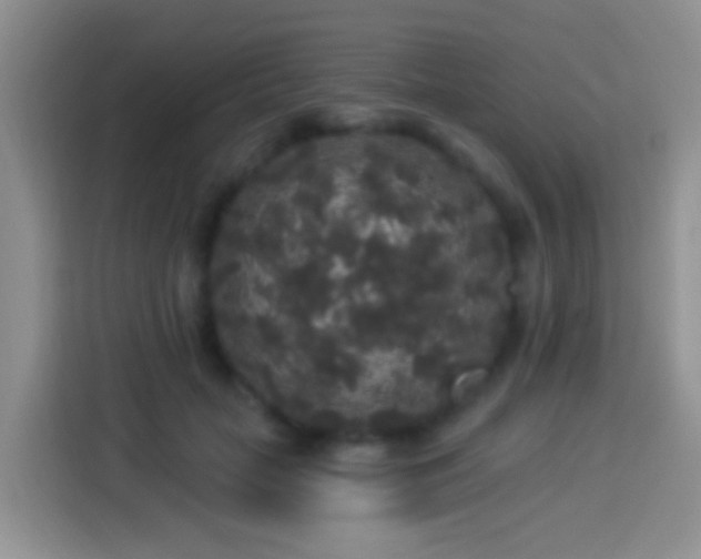 X0000113880653200910011133