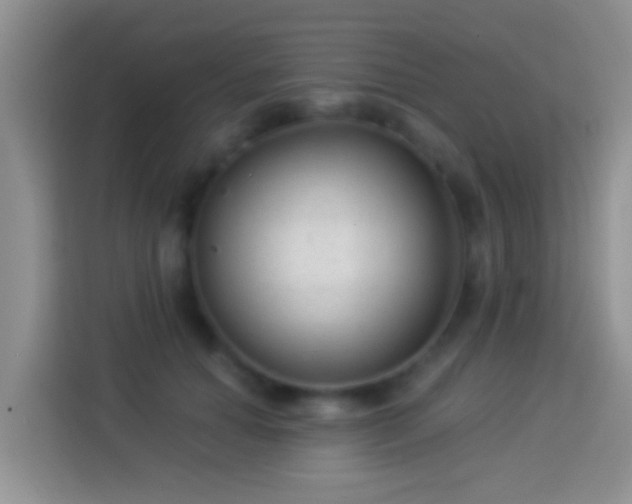 X0000113880654200910011133