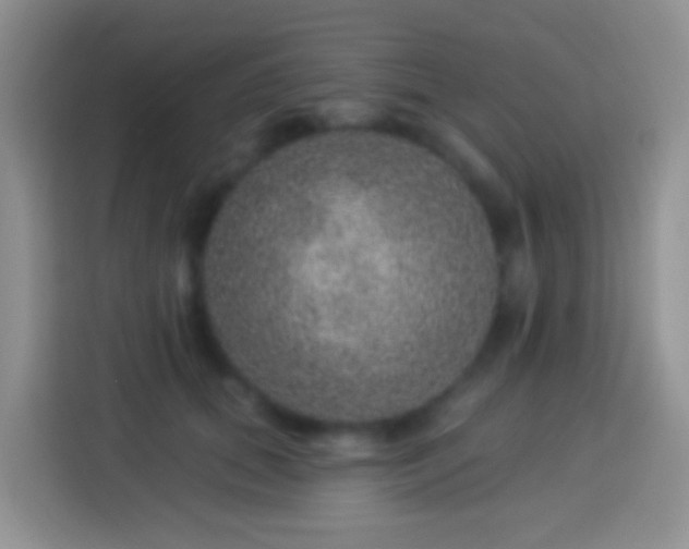 X0000113880655200910011133