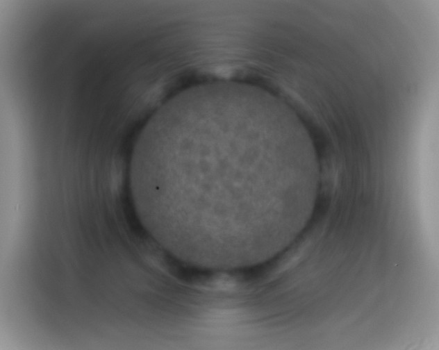 X0000113880656200910011133