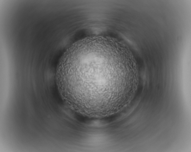 X0000113880657200910011133