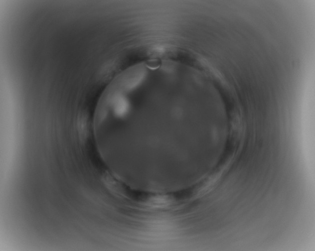 X0000113880659200910011133