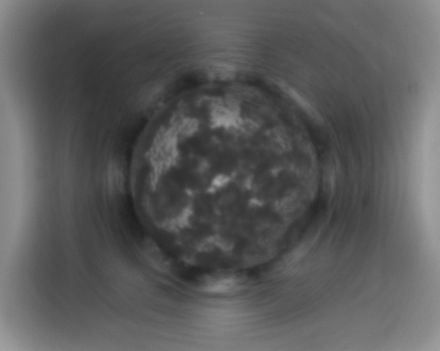 X0000113880661200910011133