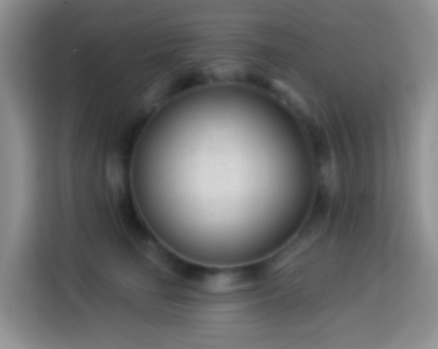 X0000113880662200910011133