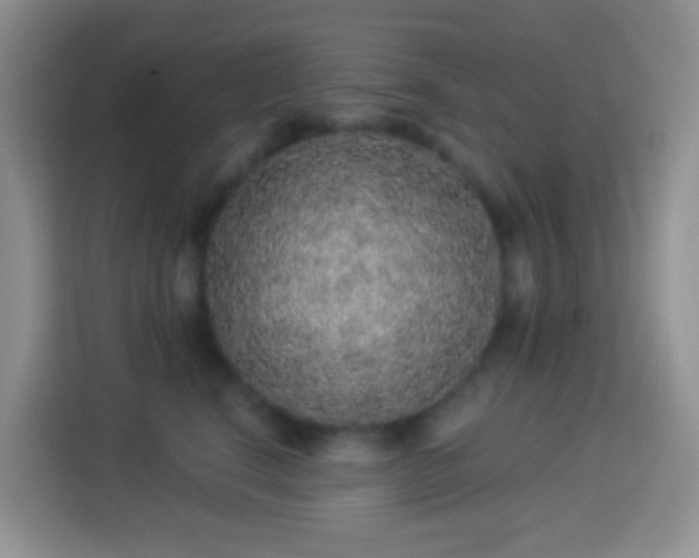 X0000113880664200910011133