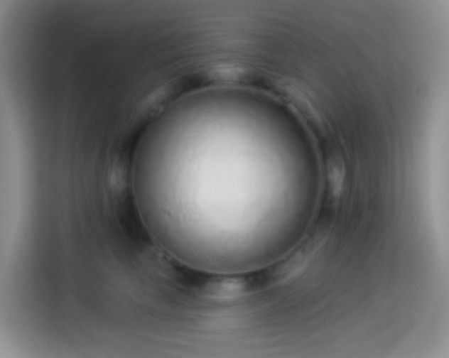 X0000113880665200910011133