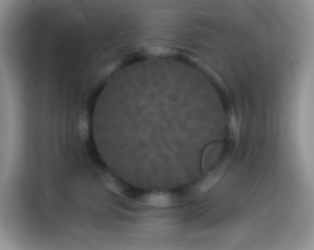 X0000113880668200910011133