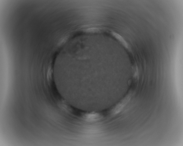 X0000113880669200910011133