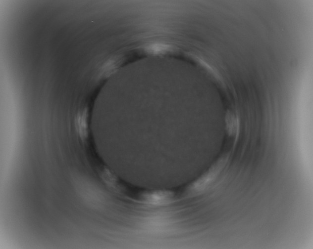 X0000113880670200910011133