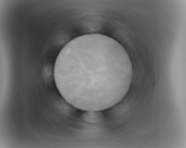 X0000113880672200910011133