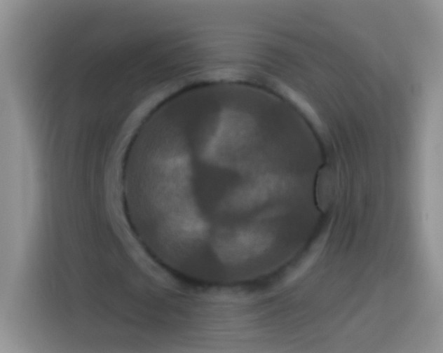 X0000113880673200910011133