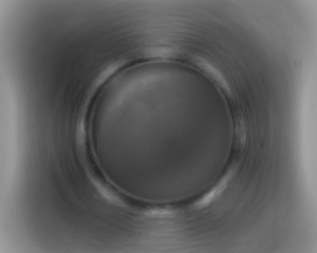 X0000113880674200910011133