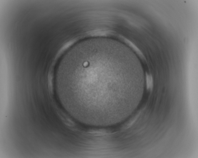 X0000113880675200910011133