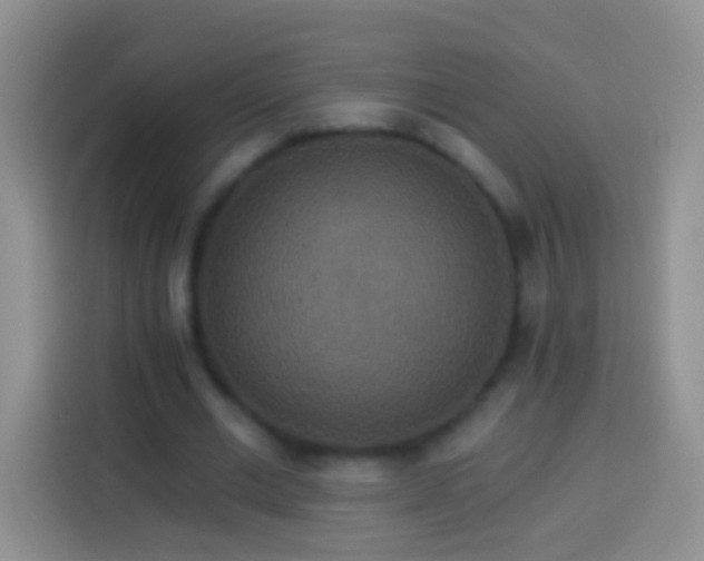 X0000113880677200910011133