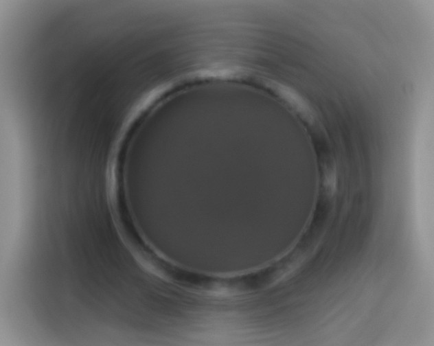 X0000113880678200910011133