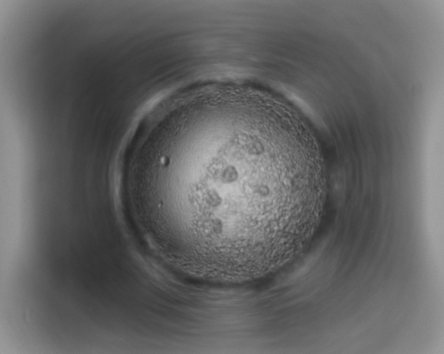 X0000113880679200910011133