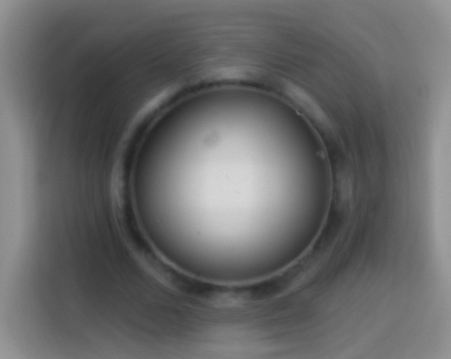 X0000113880680200910011133