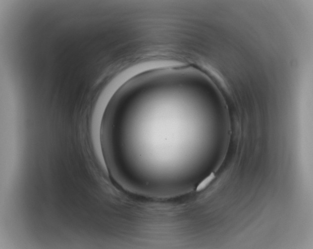 X0000113880681200910011133