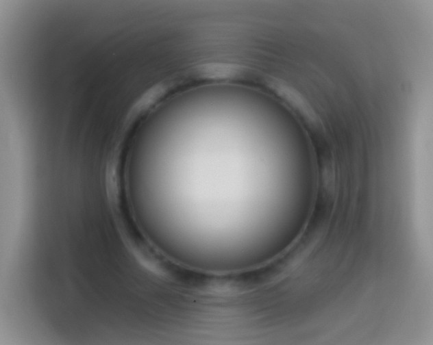 X0000113880682200910011133