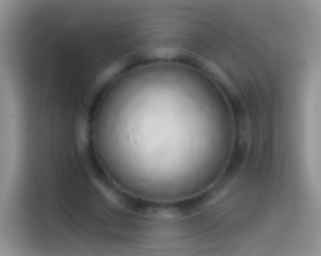 X0000113880683200910011133