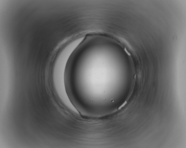 X0000113880684200910011133