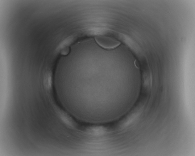 X0000113880685200910011133