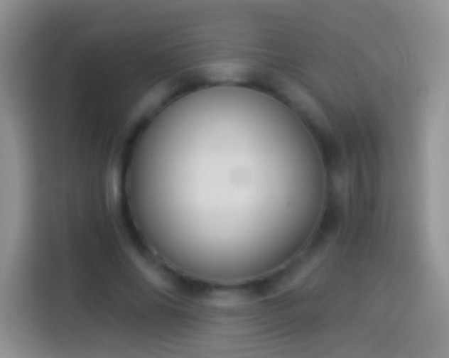 X0000113880686200910011133