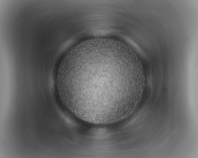 X0000113880687200910011133