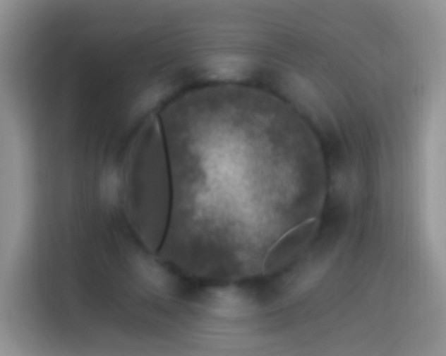 X0000113880688200910011133