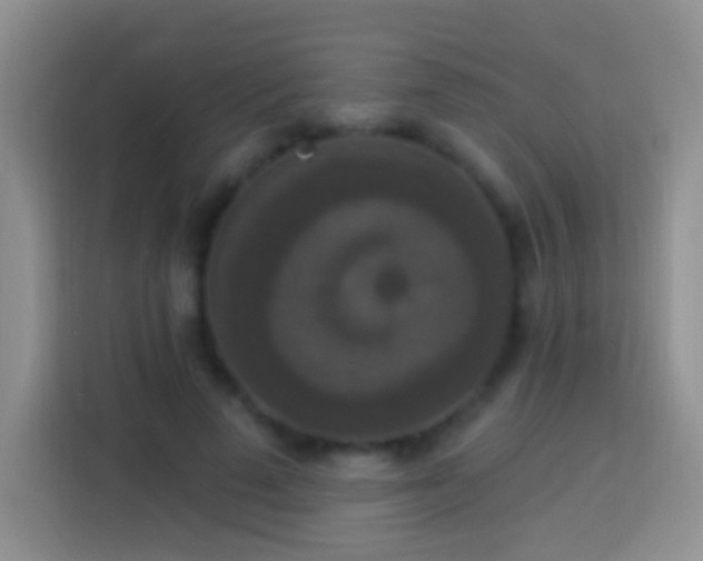 X0000113880689200910011133