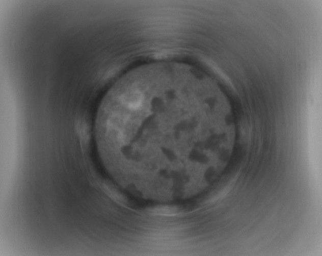 X0000113880691200910011133