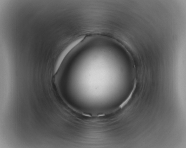 X0000113880692200910011133