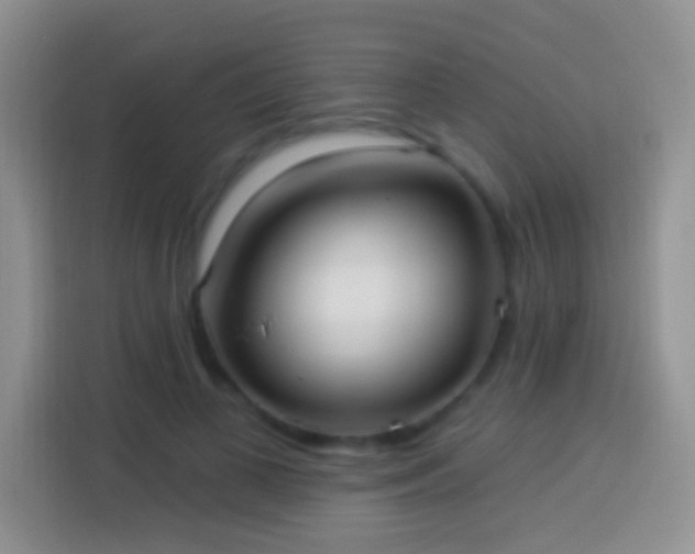 X0000113880693200910011133