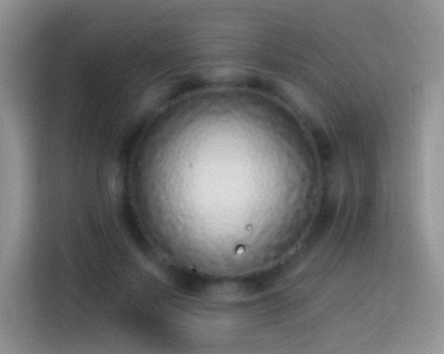 X0000113880695200910011133