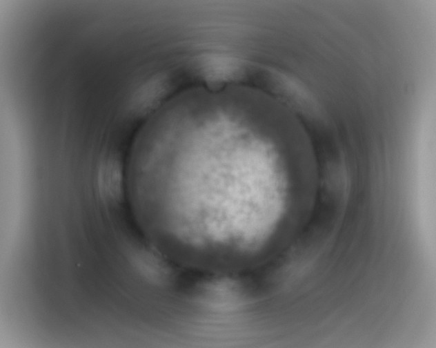 X0000113880696200910011133