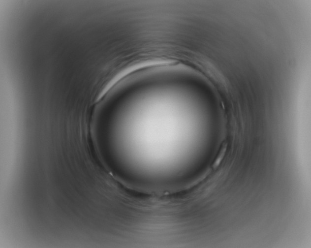 X0000113880697200910011133