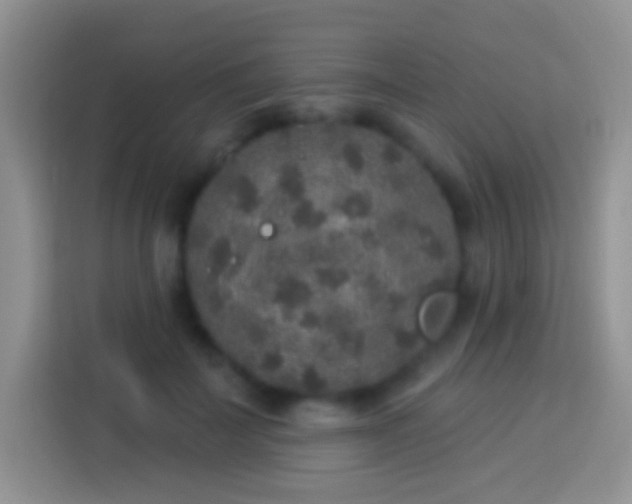 X0000113880699200910011133