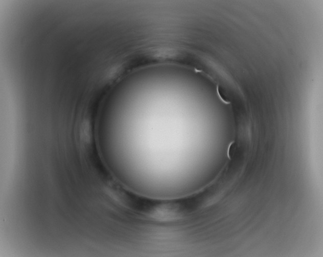 X0000113880700200910011133