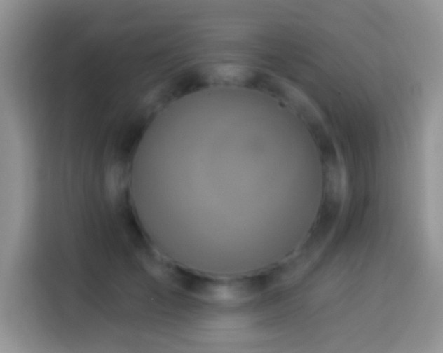 X0000113880701200910011132