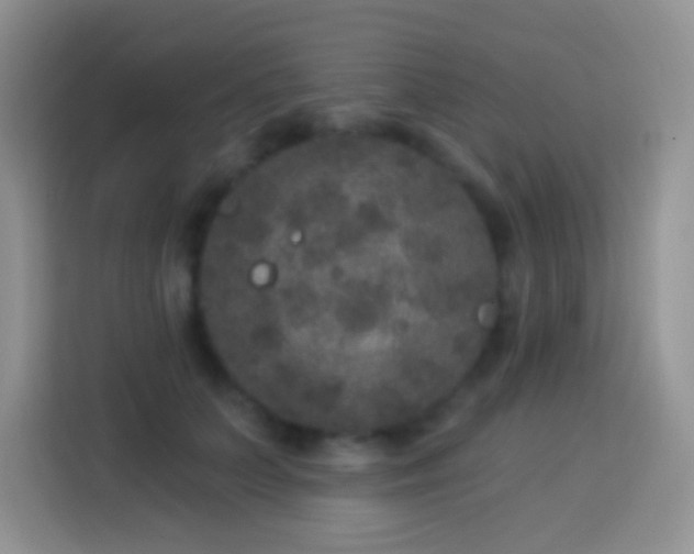 X0000113880703200910011132