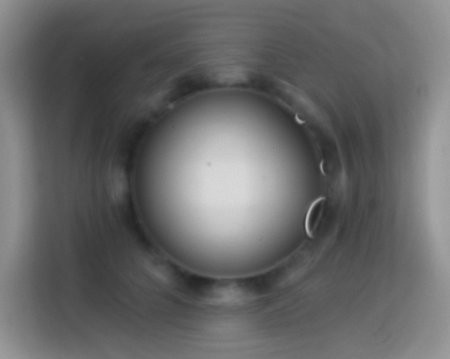 X0000113880704200910011132