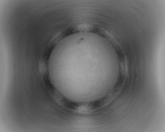 X0000113880705200910011132