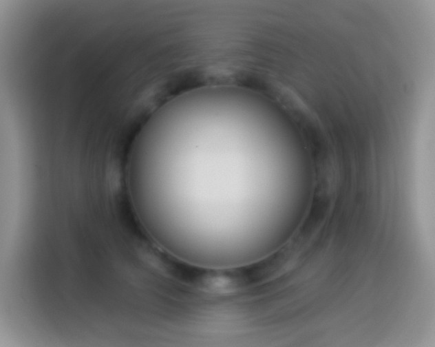 X0000113880706200910011132