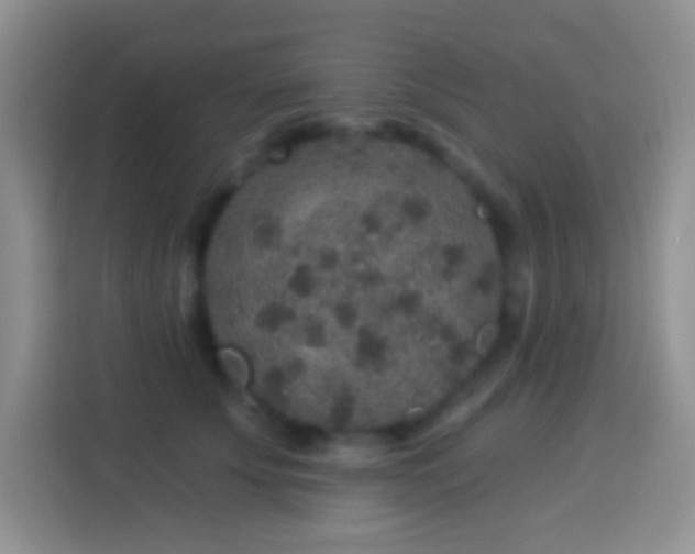 X0000113880707200910011132