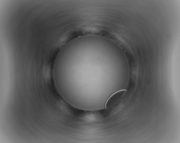 X0000113880708200910011132