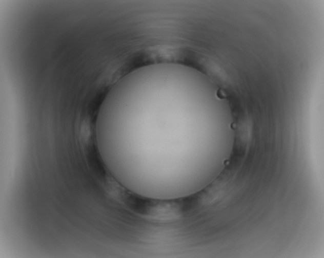 X0000113880709200910011132