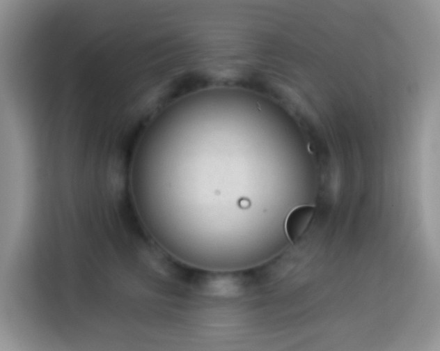 X0000113880710200910011132