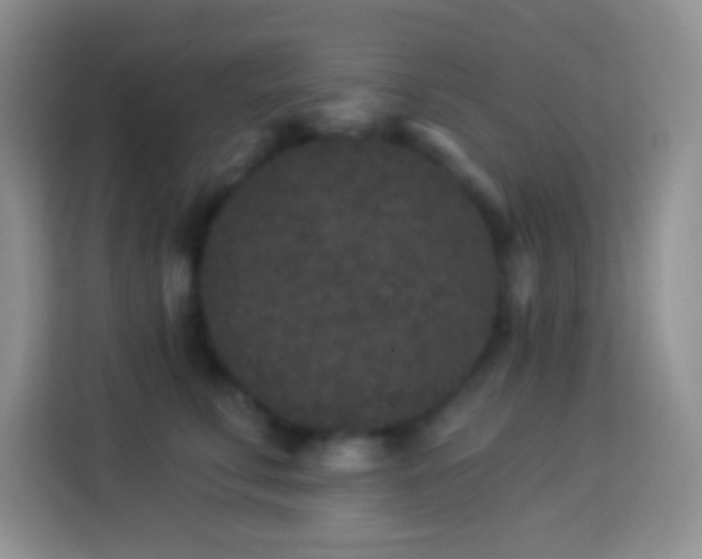 X0000113880711200910011132