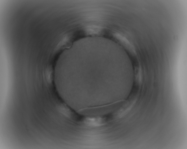 X0000113880712200910011132